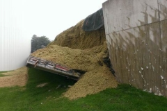 Biogas